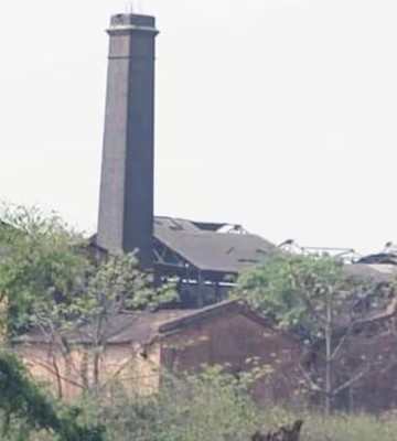 Riga sugar mill in Sitamarhi set to reopen by year-end
